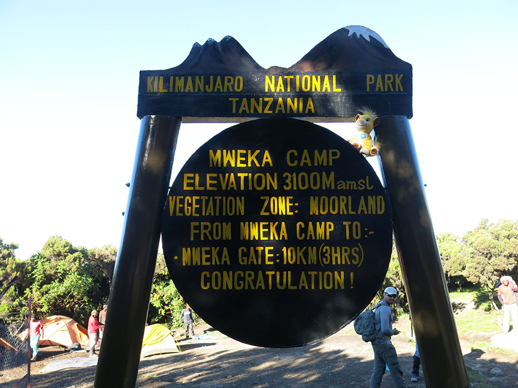 at mweka camp. last stop before the bottom!